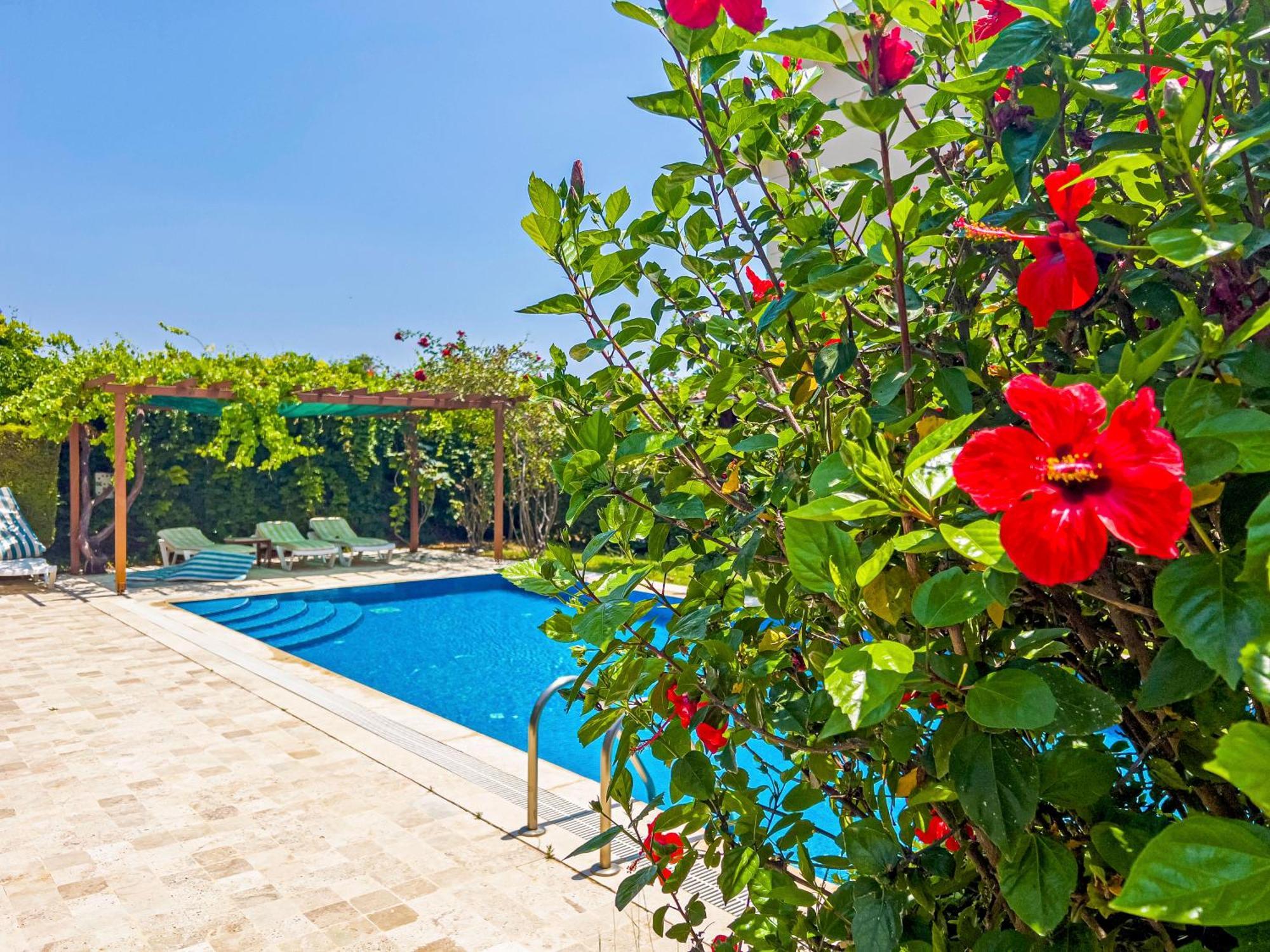 Paradise Town Villa Royal Belek Zewnętrze zdjęcie